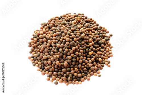 Heap of wiki seeds isolated on white background, top view. Wiki seed pile, top view. Dry wiki seeds close up, background, texture, top view. Vicia sativa isolated on white background, top view. photo