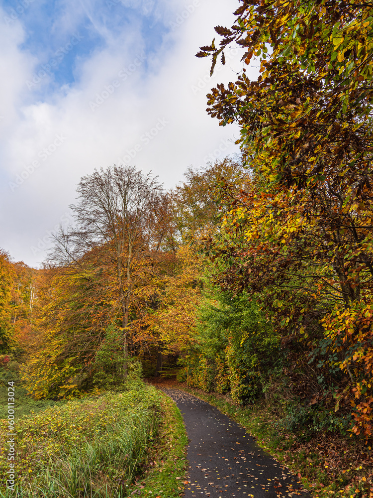 Landschaft im Herbst in der Feldberger Seenlandschaft Landschaft im Herbst in der Feldberger Seenlandschaft