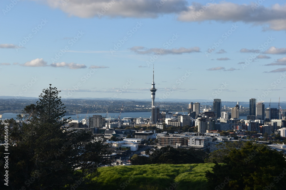 Auckland panoramic view