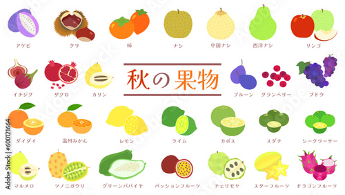 秋の果物のイラストセット。フラットなベクターイラスト。 Illustration set of autumn fruits. Flat designed vector illustration.