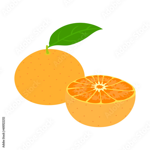 温州みかん。フラットなベクターイラスト。
Satsuma mandarin. Flat designed vector illustration.