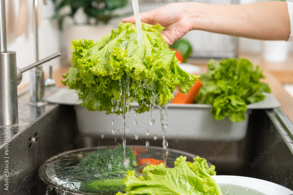 Close up hydroponic green oak lettuce, asian young woman washing fresh vegetables with splash water in basin of water on sink in kitchen, preparing fresh salad, cooking meal. Healthy food people. - obrazy, fototapety, plakaty 