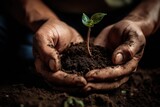 Farmers hands holding a new plant in the soil, generative ai