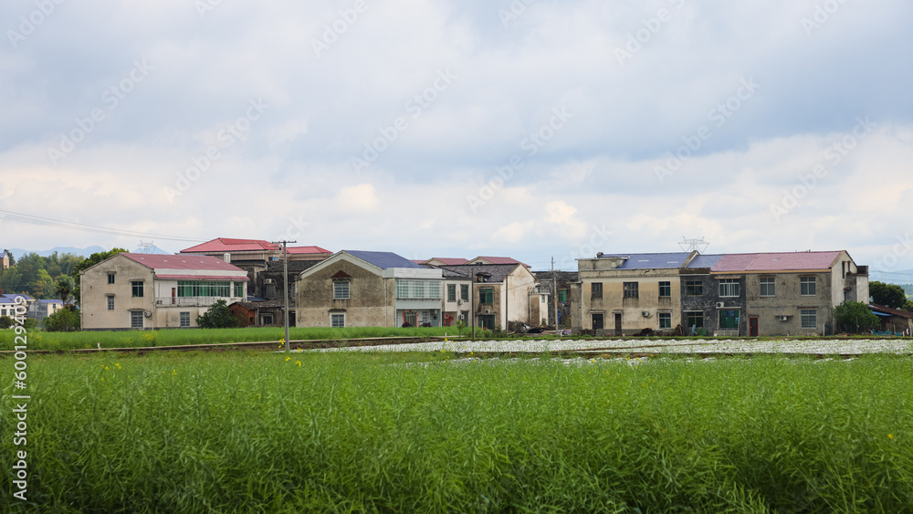 Picturesque village houses with half-ripe rapeseed and tobacco field in countryside in Hunan Province, China, moving clouds and mountains in background