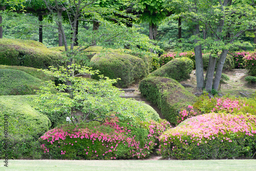 Fototapeta Naklejka Na Ścianę i Meble -  ツツジの咲く新緑の庭園