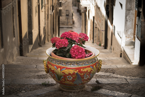 Flowers in a colorful pot. Sicilian street.