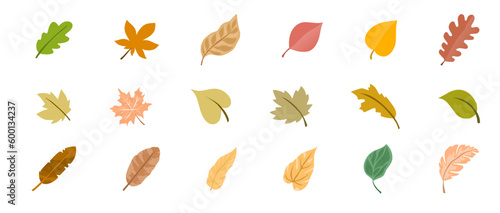 autumn leaves collection