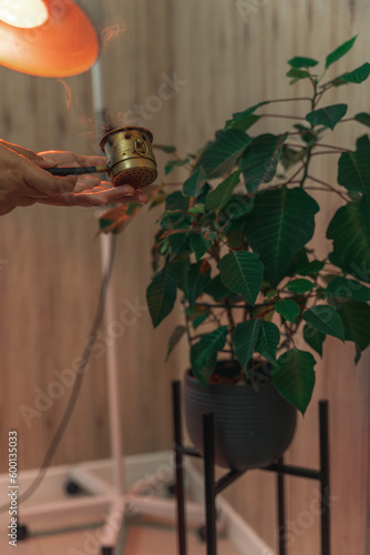 Moxibustion treatment: Traditional Chinese medicine tools for heating acupuncture point therapy. chinese herbal medicine Copper moxibustion burner box with herbal moxa sticks in holistic clinic.