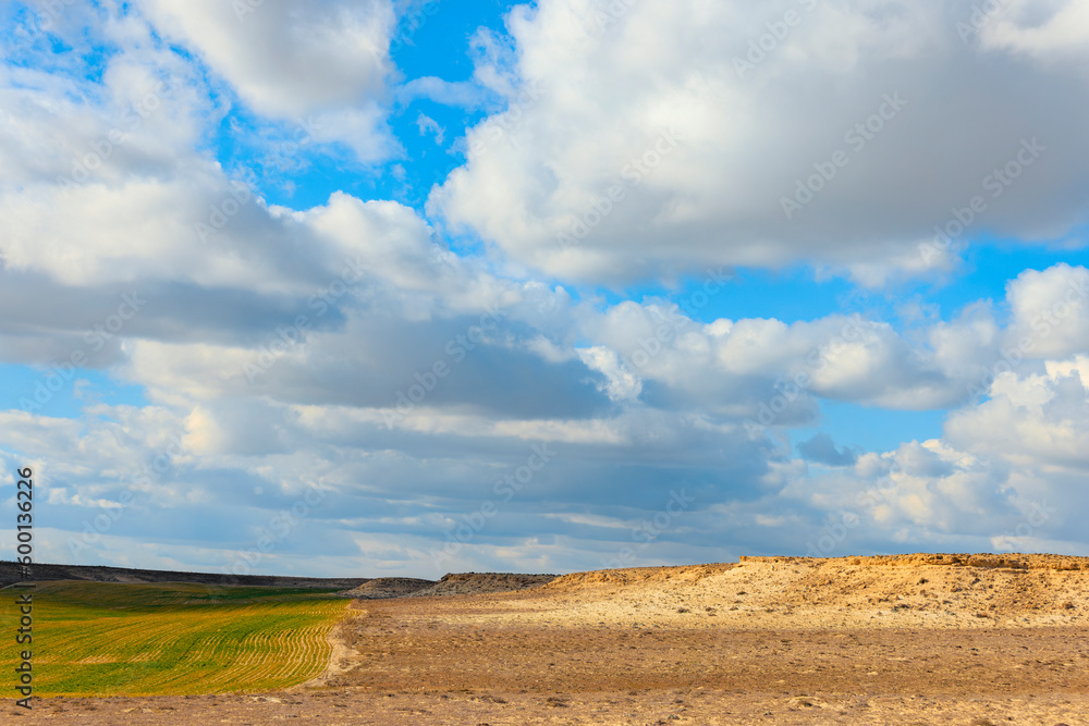 Empty terrain next to grassy field in front of blue sky with puffy clouds in a sunny day.