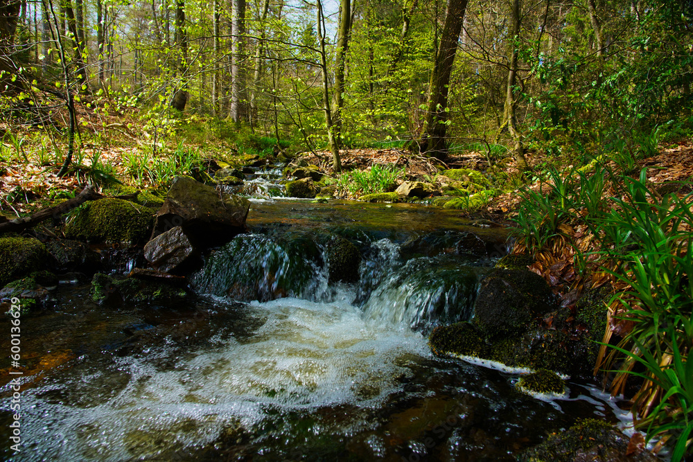 Bachlauf im Hochwald im Nordsaarland Bachlauf im Hochwald im Nordsaarland