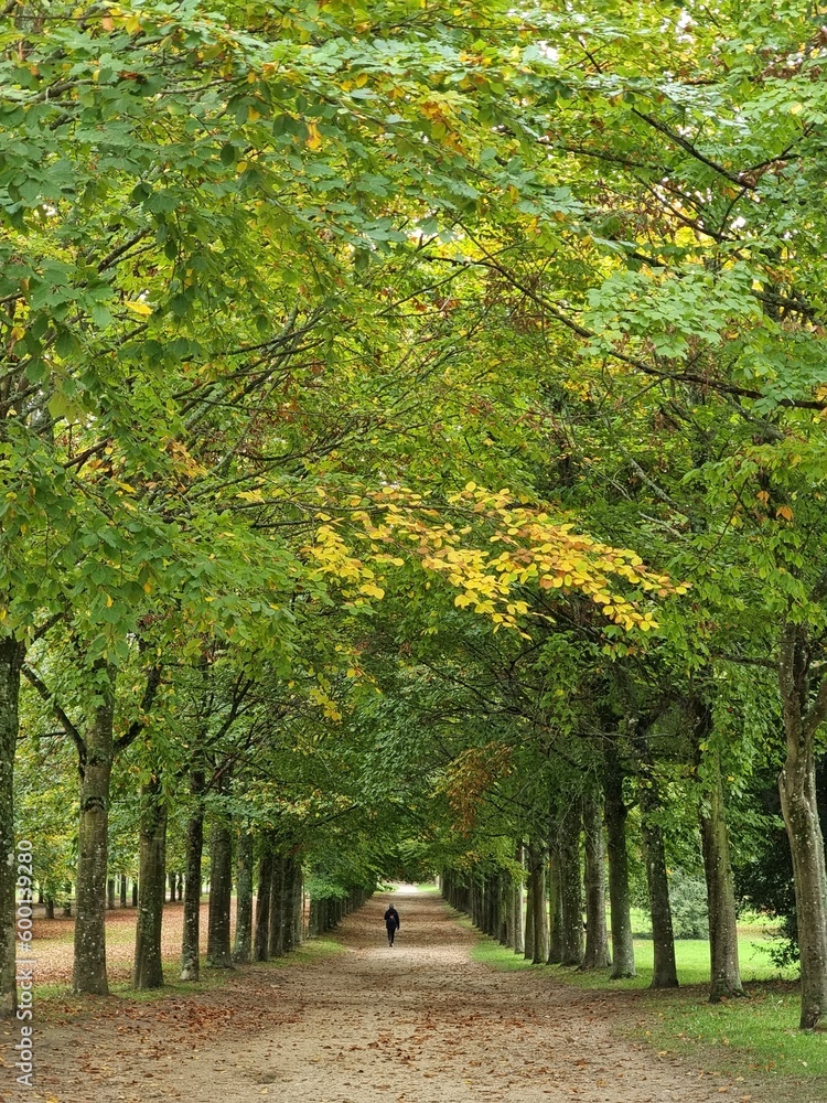 Naklejka premium green road