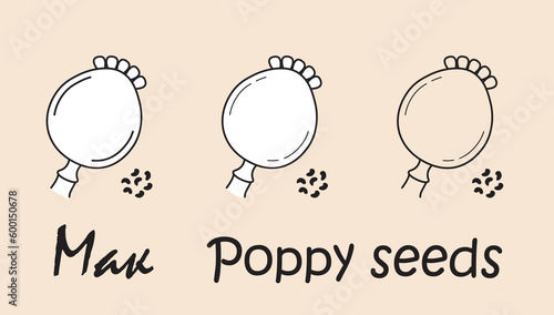 A set of objects depicting a poppy seeds with the inscription "poppy seeds" in Russian and English. Simple vector illustration, eps