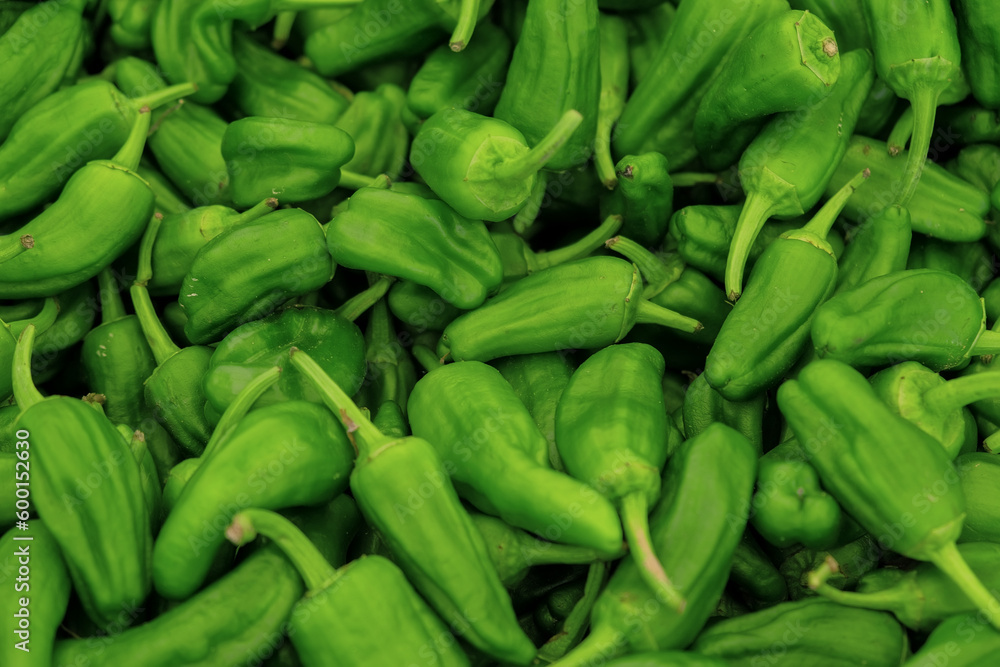 Background of spanish fresh juicy green pepper. Background of spanish fresh juicy green pepper.