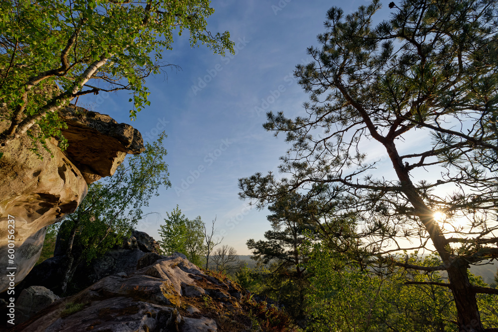 Boulders in the Haute Pierre hill near Milly-La-Foret village. Fontainebleau forest	