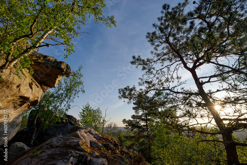 Boulders in the Haute Pierre hill near Milly-La-Foret village. Fontainebleau forest  © hassan bensliman