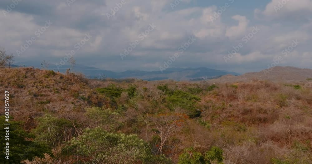 Deciduous forest. 4k video. Huatulco, Oaxaca. Deciduous forest. 4k video. Huatulco, Oaxaca.
