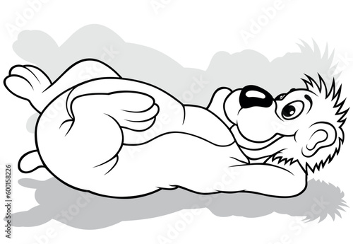 Drawing of a Cute Bear Lying on his Back on the Ground