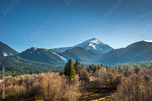 Mt. Todorka and the forest at the foot of it. Spring landscape in Pirin mountains, Bulgaria.