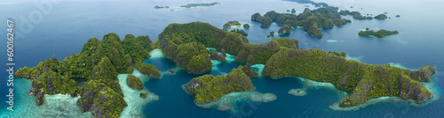 Healthy fringing coral reefs grow around the dramatic limestone islands that rise from Raja Ampat's seascape. This remote part of Indonesia is known for its incredibly high marine biodiversity.