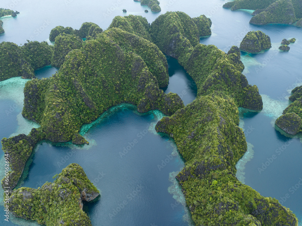 Healthy fringing coral reefs grow around the dramatic limestone islands that rise from Raja Ampat's seascape. This remote part of Indonesia is known for its incredibly high marine biodiversity.