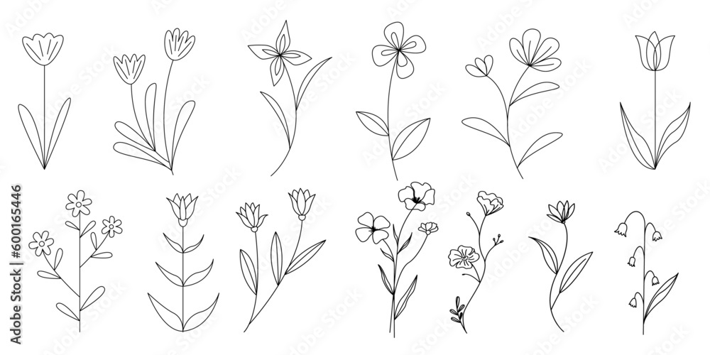 Set of line natural flower icons. Hand drawn flowers illustration collection. Botanical, Natural and floral concept seamless icons. Vector illustration. Set of line natural flower icons. Hand drawn flowers illustration collection. Botanical, Natural and floral concept seamless icons. Vector illustration.