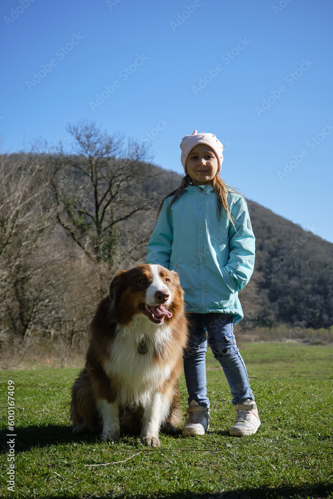 Children and pets concept. Charming little Caucasian girl walks in park with her dog. The child is smiling, staying on field and stroking brown Australian Shepherd. Aussie family friendly breed.