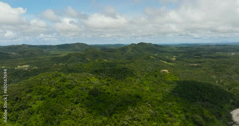 Rainforest and jungle. Tropical landscape. Borneo, Sabah, Malaysia. Rainforest and jungle. Tropical landscape. Borneo, Sabah, Malaysia.