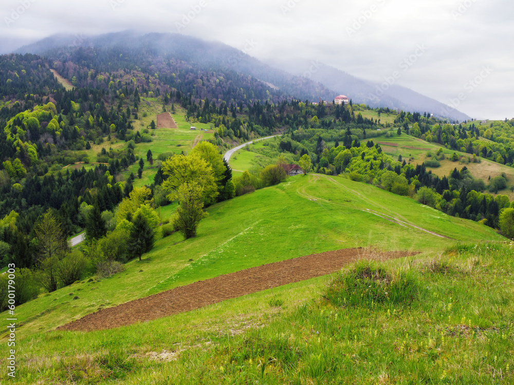 spring scenery in rural mountain countryside. green fields and meadows on the hills