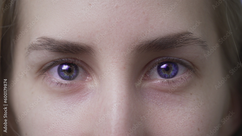 Fototapeta premium Blue eyes of a beautiful girl. The white woman opens her eyes. Lovely clean young face. Close-up of attractive Caucasian eyebrows