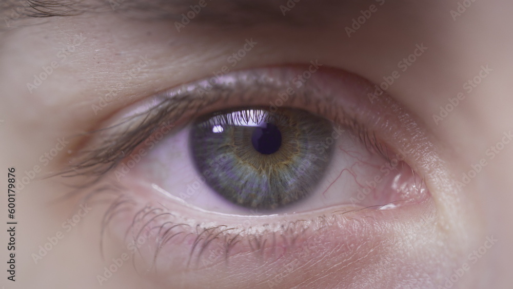 Extreme close-up of a beautiful girl's blue eye. The white woman opens her eye. Natural eyelashes, well-groomed eyebrows. Perfectly clean skin