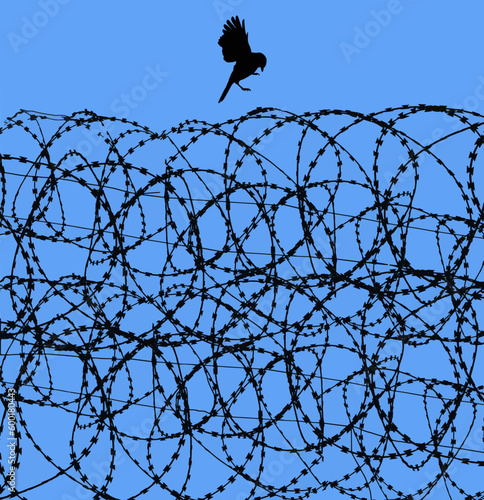 A free bird is about to land on Razor wire, contstantino wire, barbed wire of a prison and is seen in front of a blue sky in this background image.