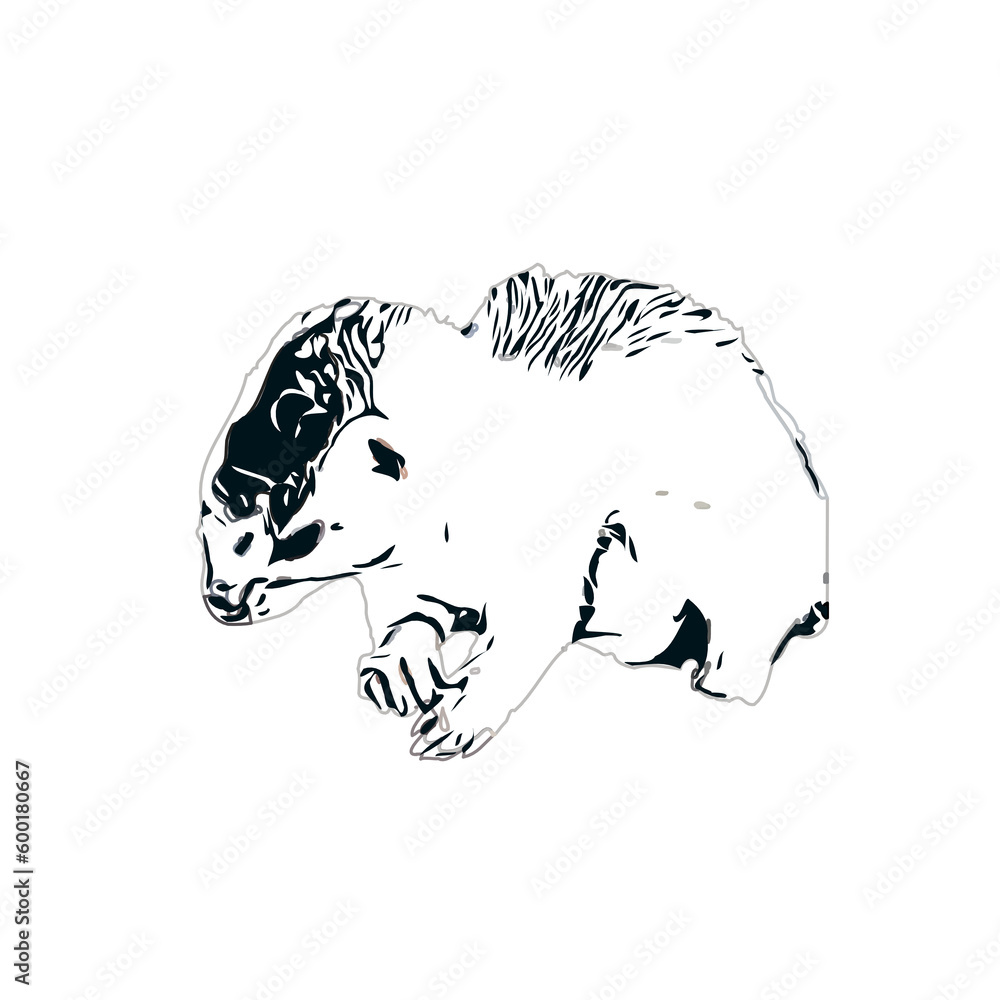 sketch of a weasel with a transparent background sketch of a weasel with a transparent background
