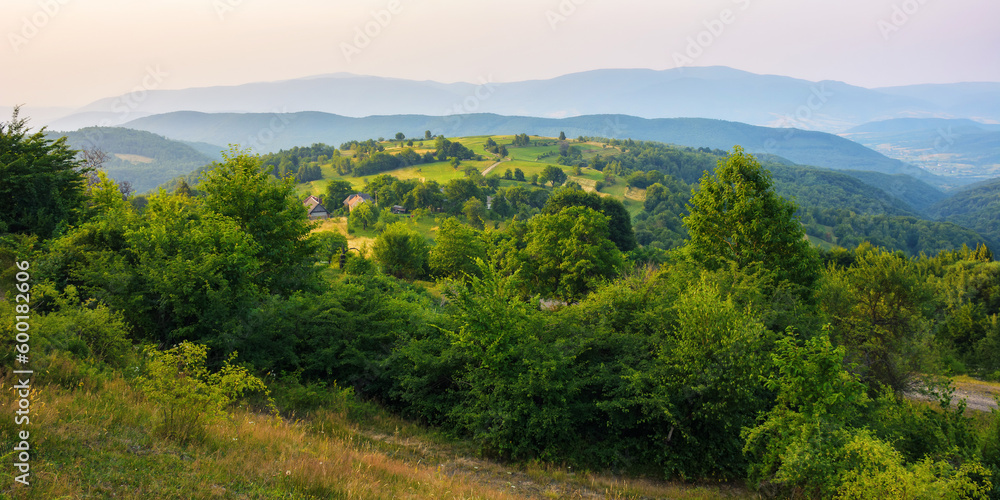 sunset over the rural valley. trees, fields and meadows on rolling hills. beauty of mountainous carpathian countryside