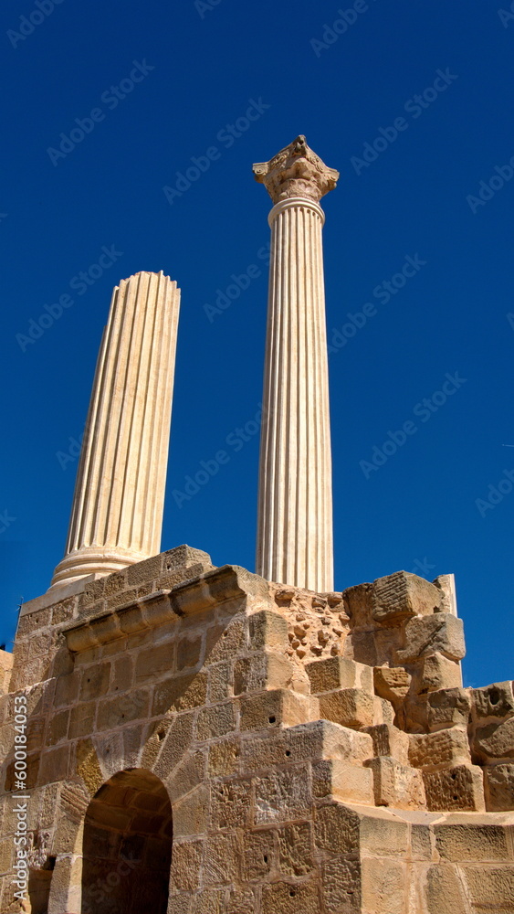 Columns on the ruins of an ancient Roman temple in Uthina, outside of Tunis, Tunisia