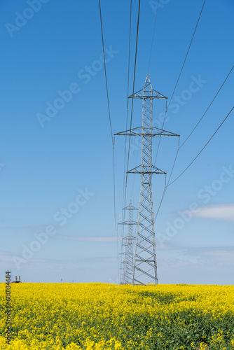 Obraz na płótnie Transmission towers in the middle of blooming flowering rapeseed canola or colza in latin Brassica Napus, plant for green energy and oil industry, rape seed on blue sky background. w salonie