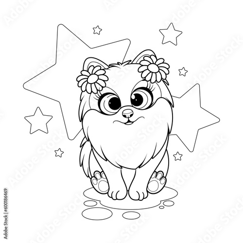Coloring page. Little dog, pomeranian spitz with flowers on head