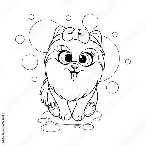 Coloring page. Cute cartoon dog, pomeranian spitz with bow-knot