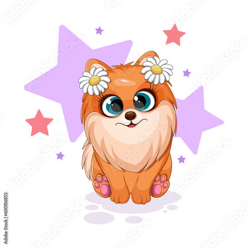 Little dog, pomeranian spitz with flowers on head, stars, funny card