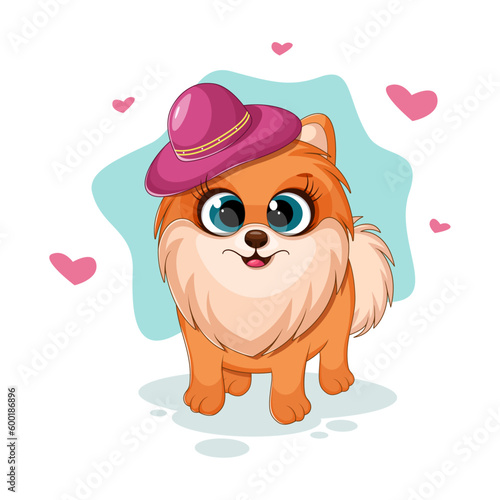 Fashionable and cute dog, pomeranian spitz with hat, fashionable card