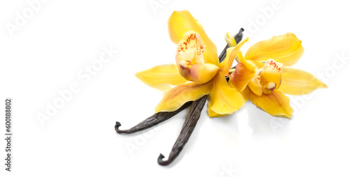 Vanilla flower and pods close up. Vanilla beans isolated on white background, macro shot. Aromatic condiments. 