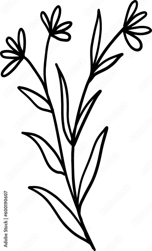 One Line Flower Drawing One Line Flower Drawing