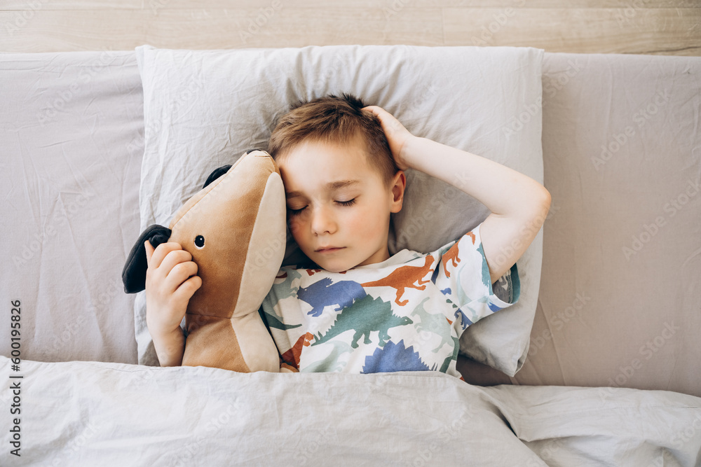Happy cute tired little boy lies on comfort bed with closed eyes, hugs toy dog, sleeping in bedroom interior, top view, free space, close up. Health care, childhood, rest, relax at night Happy cute tired little boy lies on comfort bed with closed eyes, hugs toy dog, sleeping in bedroom interior, top view, free space, close up. Health care, childhood, rest, relax at night