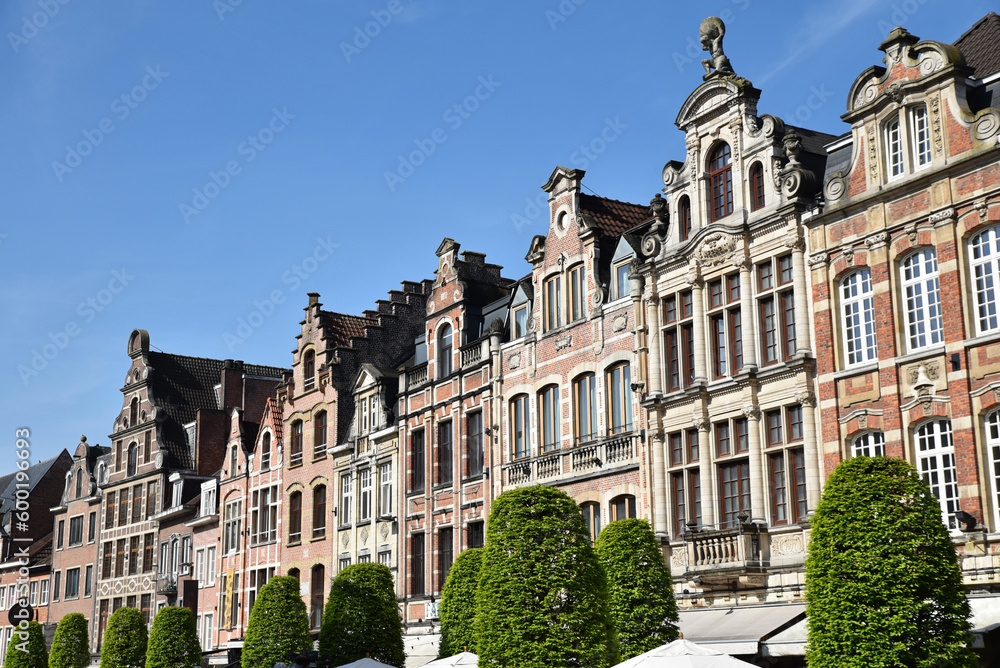 Maisons flamandes à pignons à Louvain. Belgique