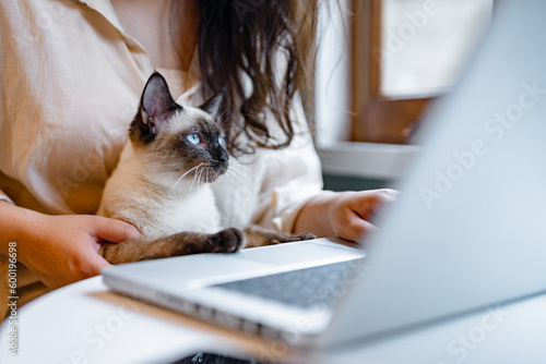 Cats - Page 19 | The largest selection of gifts and posters | 3+1 FREE