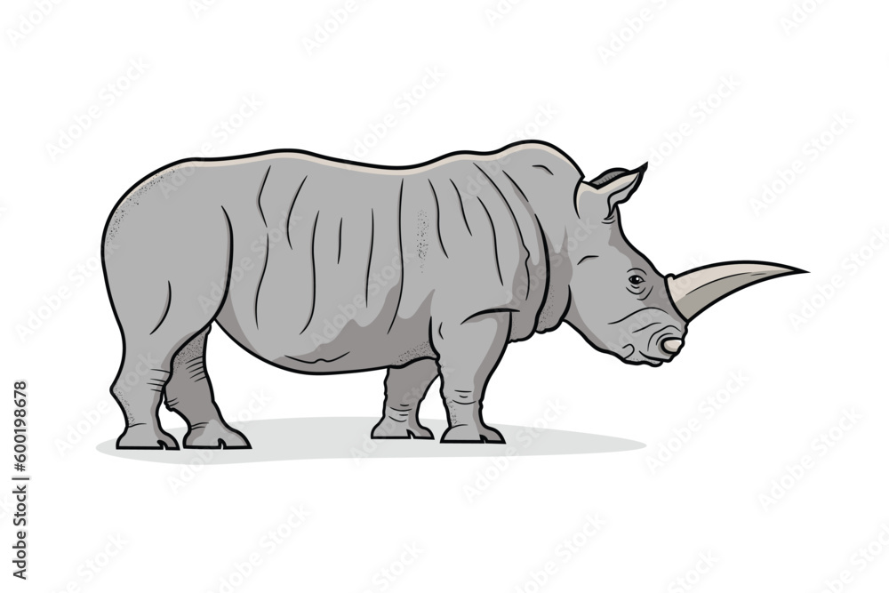 Fototapeta premium Side view of Standing Rhinoceros Isolated on White Background. Cartoon style. Educational Zoology Illustration. Coloring Book Picture.