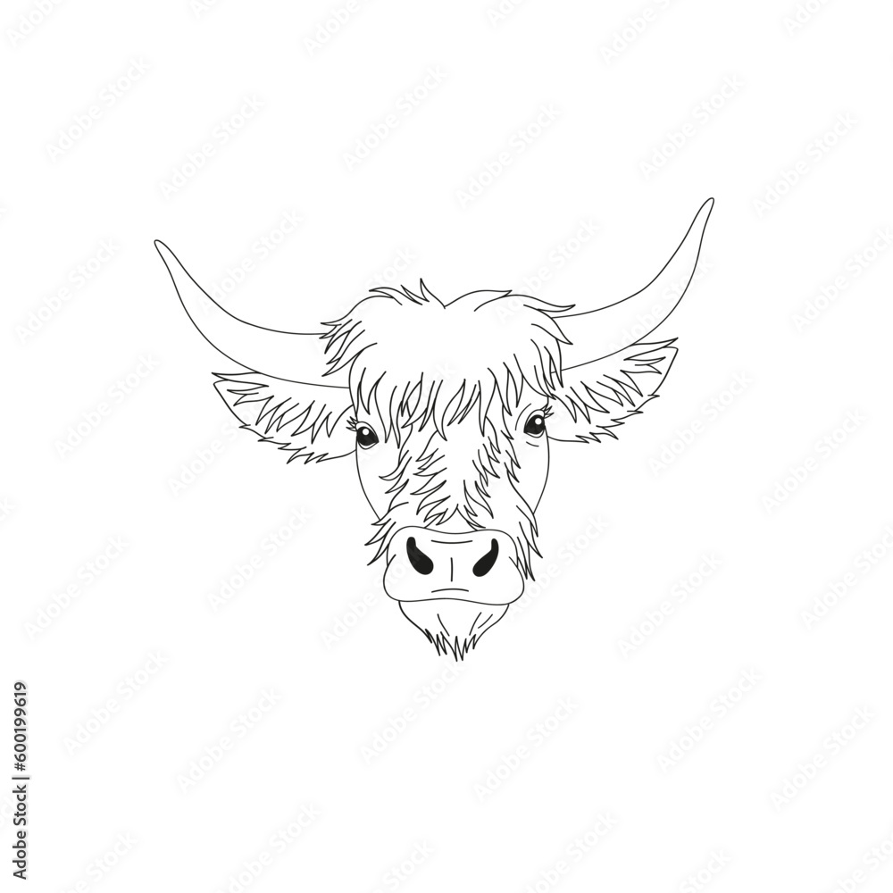 Linear Irish cow heard portrait. Western vector illustration isolated on white. Linear Irish cow heard portrait. Western vector illustration isolated on white.