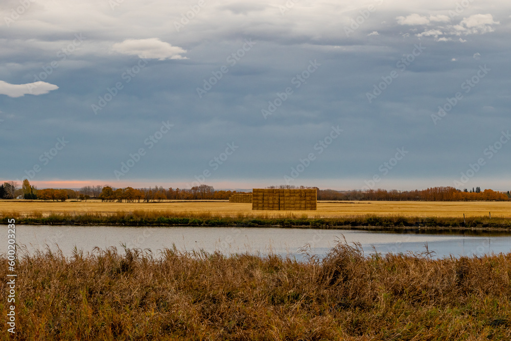 Square hay bales stacked in a field. Mountanview County, Alberta, Canada Square hay bales stacked in a field. Mountanview County, Alberta, Canada