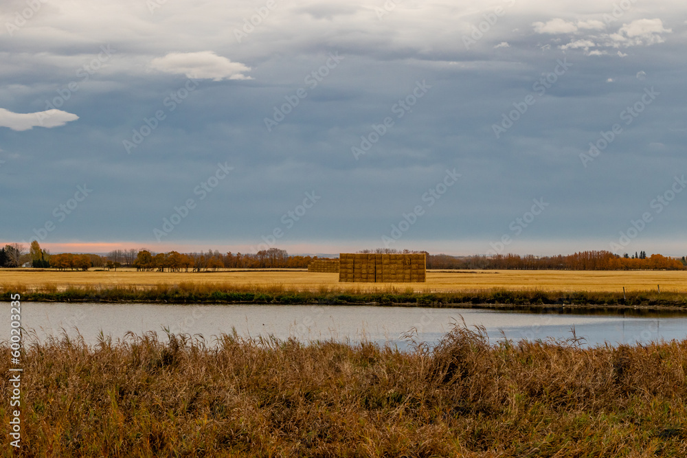 Square hay bales stacked in a field. Mountanview County, Alberta, Canada