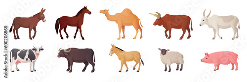 Farm draft animals. Breeds animal asian or african countries, indian cows breeding camels, sheepfarm, barnyard bull camel horse sheep buffalo zebu ox, ingenious vector illustration photo