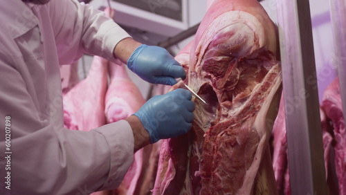 Принти на полотні Industrial processing of meat